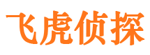 武都市私家侦探